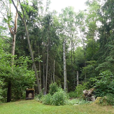 Ferienwohnung Niemann In Lutterloh Unterluss Экстерьер фото