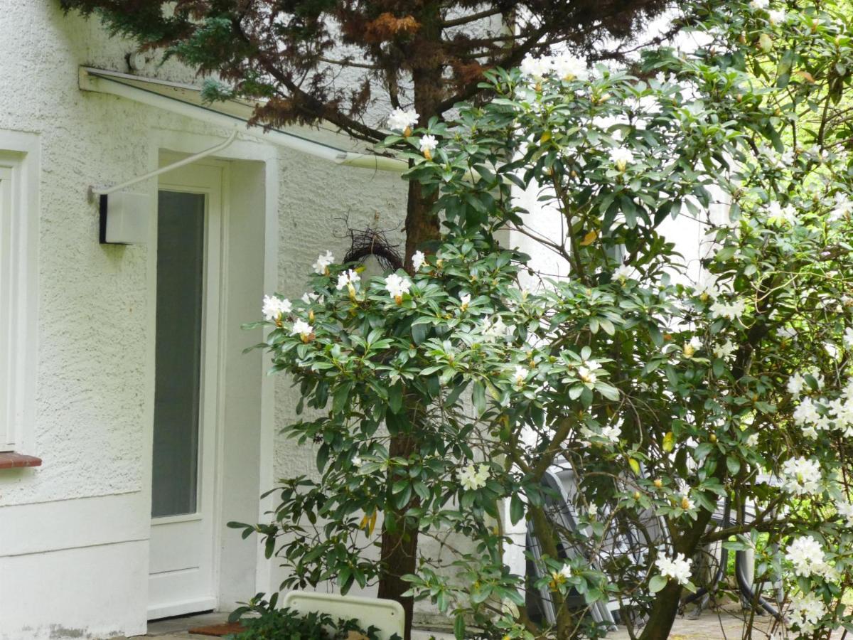 Ferienwohnung Niemann In Lutterloh Unterluss Экстерьер фото