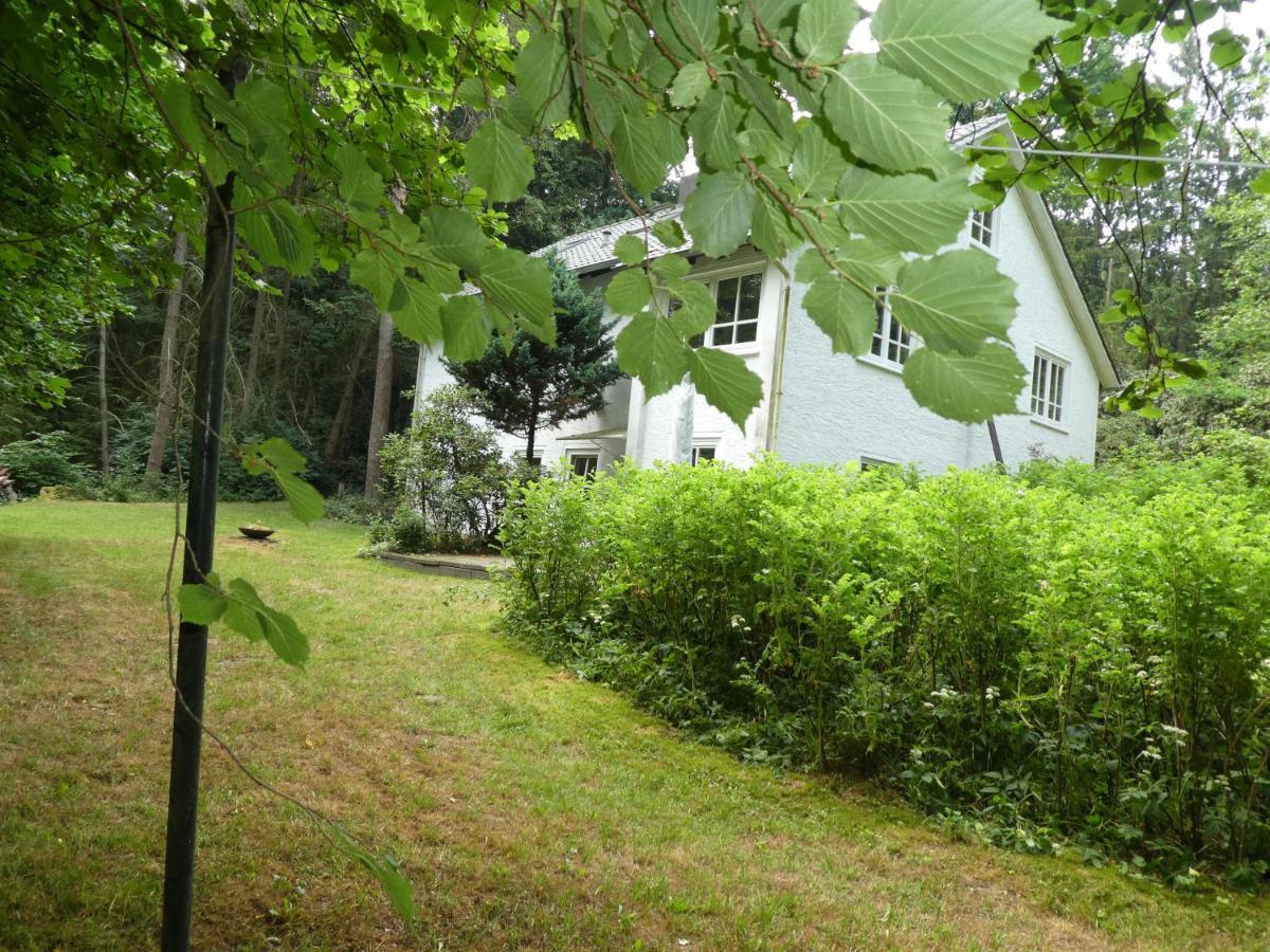 Ferienwohnung Niemann In Lutterloh Unterluss Экстерьер фото